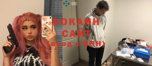 ECSTASY Алзамай