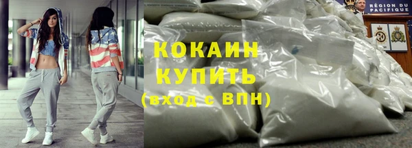 ECSTASY Алзамай