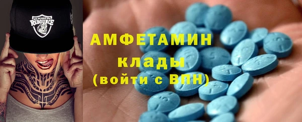 ECSTASY Алзамай
